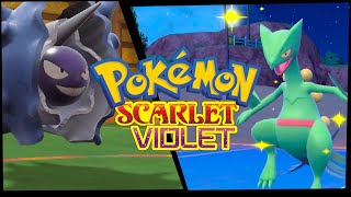 SCEPTILE amp CLOYSTER SWEEPING IN 2024  Pokémon WiFi Battle  Pokémon Scarlet amp Violet [upl. by Fink]