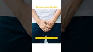 Severe testis pain could be testicular torsion [upl. by Ecile]