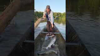 BAGRE en río así fue como lo sacamos😨 fishing [upl. by Sinnelg]