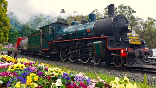 BB18 ¼ 1079  ARHS Steam Train to Toowoomba  28092024 [upl. by Silloc]