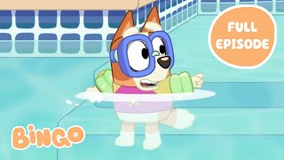 Bingo in the Pool 💧🧡  Bluey Series 1 FULL EPISODE  Bingo  Official Channel [upl. by Trip]