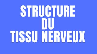 Cours SVT La Structure du Tissu Nerveux Terminale SampL [upl. by Inanaup]