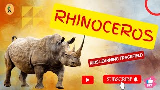 Rhinoceros [upl. by Enytnoel]