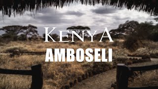 KENYA  Amboseli National Park [upl. by Pyne]