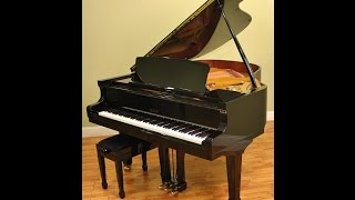 For Sale Petrof Model IV Grand Piano [upl. by Rodoeht]