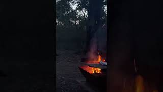 Sunset by campfire at Tanner Road Campground in the Great Otway National Park near Anglesea [upl. by Noryahs167]