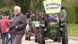 Almabtrieb Altenbeken 2024 [upl. by Wilma]