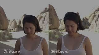 Sony FX30 vs Sony FX3 real world comparison side by side [upl. by Boris650]