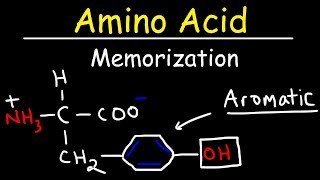 Memorize The 20 Amino Acids  The Easy Way [upl. by Yeltihw]