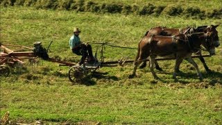 Pennsylvanias Amish Country [upl. by Akamaozu667]