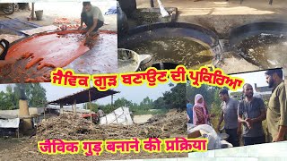 Traditional Jaggery Making Process Organic Jaggery Making Process जैविक गुड़ बनाने की प्रक्रिया [upl. by Nniw]