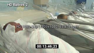 Newborn Babies  HD Stock Footage  Infant  HD Stock Videos  Hospital  Birth  Nursery [upl. by Drarej64]