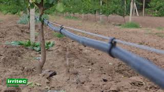 Irritec Drip Irrigation Solutions 2 [upl. by Neelie99]