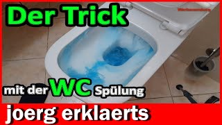 WC Reinigung Spülkasten Geberit Einwurfschacht Einbauanleitung Tutorial DIY [upl. by Gustafsson763]