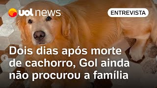 Gol não procurou nem ofereceu nenhum tipo de auxílio à família após morte de cachorro diz advogado [upl. by Morton]