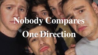 【歌詞和訳】Nobody Compares  One Direction [upl. by Nohsid613]