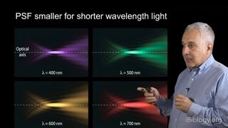 Microscopy Point Spread Function Jeff Lichtman [upl. by Lapides]