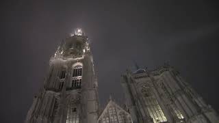 St Hubertus celebration  Antwerp Cathedral 3112024 [upl. by Ellenid967]