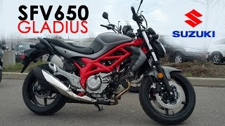 Suzuki Demo Ride  2015 SFV650 Gladius [upl. by Eciryt711]