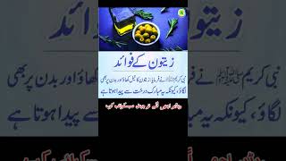 Zaitoon ka tailshorts poetry hadees [upl. by Anialahs]