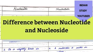 Difference between Nucleoside and Nucleotide 11th Biology Biomolecules [upl. by Aer624]