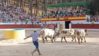 Quién se viene de encierro Siles primer encierro 2024 [upl. by Holzman119]