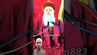 Syed Hashmi Miyan ki byan islamicshortvideo viralvideo allahhuakbar AltabKGN 👍 [upl. by Vasti]