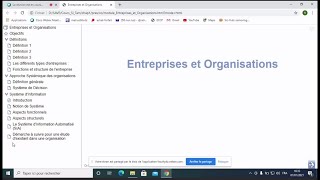 Entreprises et Organisations Cours 1 [upl. by Eiramasil]