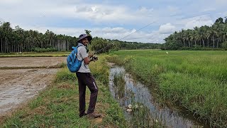 വരാൽ ചാകര🦈ചെറിയ വിലയിൽ നല്ല ഫ്രോഗുകൾ 💥varaal varaal fishingfishing shop Keralafishing tackle shop [upl. by Ossie]