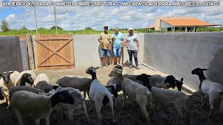 SÃO BENTOPB VEJA O QUE E PRECISO PARA INICIAR UMA CRIAÇÃO DE OVINOS DORPER Lugaresqueeuando [upl. by Alaehcim]