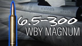 New Weatherby Caliber 65  300 Weatherby Magnum Review [upl. by Nogras949]