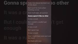 Zara Larsson  Lush Life Lyrics [upl. by Novick818]