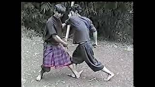 Silat quotFighting Techniquesquot 3 [upl. by Arikehs]