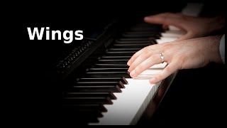 Gustavo Santaolalla  The Wings  Piano Cover [upl. by Tiena680]