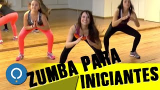 Aula de ZUMBA para INICIANTES [upl. by Esiled]