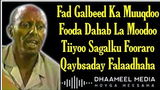 Heestii Fad Galbeed  Cumar Dhuule  Hees Qaraami Xul ah With Lyrics [upl. by Stedmann]