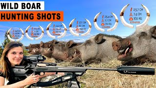 Wild Boar Hunting Shots  Chasse au sanglier  feat DivineChasse 2023 [upl. by Slrahc]