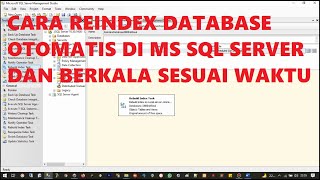 Cara Reindex database secara otomatis dan berkala pada MS SQL Server  Database jadi lebih capet [upl. by Fitzsimmons]