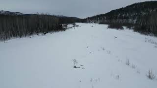 Drone out over Talkeetna River [upl. by Fleta]