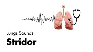 Stridor  Lung Sounds  MEDZCOOL [upl. by Giacinta373]