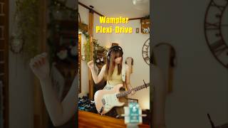 MY VITRIOL  Always Your Way coverwampler plexidrive guitar ギター stratocaster stompbox [upl. by Gaither956]