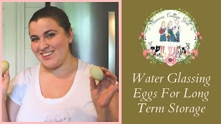 How To Water Glass Eggs For Long Term Storage  How To Preserve Eggs For Winter [upl. by Hceicjow908]