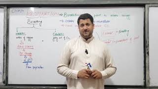 INTRODUCTION TO RESPIRATION  CHAPTER 14  2ND YEAR BIOLOGY BY SIR ZAIN UL ABIDEEN [upl. by Esialb]