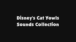 Disneys Cat Yowls Sounds Collection [upl. by Aroz]