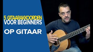 5 GITAARAKKOORDEN voor BEGINNERS op Gitaar  SIMPELE Gitaarakkoorden  Gitaar Leren Spelen [upl. by Bernarr138]