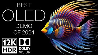 BEST OLED DEMO OF 2024  DOLBY VISION 12K HDR 120fps [upl. by Nyleve331]