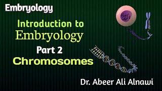 2 EmbryologyIntroduction to Embryology Part 2 ChromosomesDr Abeer Ali Alnawi [upl. by Theola]