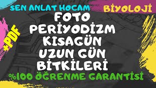 BİTKİ BİYOLOJİSİ KONU ANLATIMI 19  Fotoperiyodizm Uzun Kısa ve Nötr Gün Bitkileri  ✅ [upl. by Nayk]