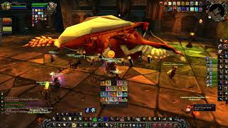 Season of Discovery  Blackwing Lair PuG  Vaelastrasz the Corrupt  Holy Paladin PoV  2K [upl. by Yevre]