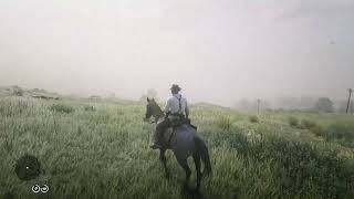 Red Dead Redemption 2 Ambience Hunting Bison in the Heartlands and Cooking Prime Beef for Dinner [upl. by Dnomder]